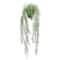 18" Potted Rosemary Plant by Ashland®